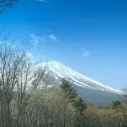 cocomomo