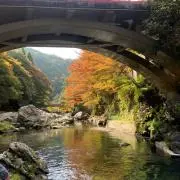 田中洋二の画像