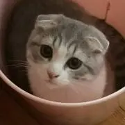 mokohito