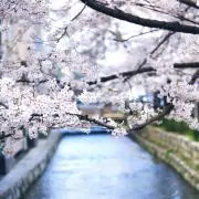めるる