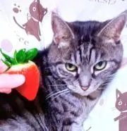 ジュニアの画像