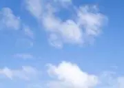 フク