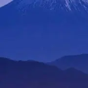 今宵の画像