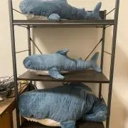 Tの画像