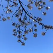 ☾