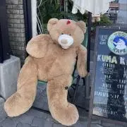 あられ☻プロフ必読☻の画像