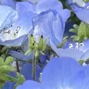 むんの画像