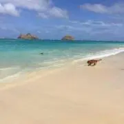 yu☆