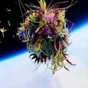 セバスチャン
