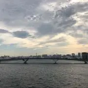 corazonの画像
