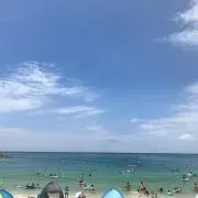 むーの画像