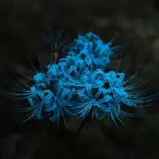 にとの画像