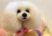 MAICHI