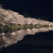 totaの画像