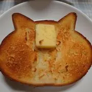 断捨離ねこねこ♪の画像