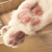 さの画像