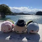 かなの画像