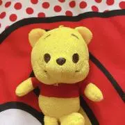 Teddyの画像