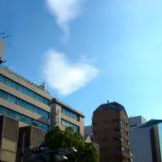 ランチの画像