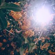 Ⓜ︎ykの画像
