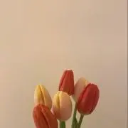 hyrmk.__15の画像