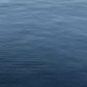 RINの画像