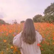 おれんじ　在庫処分の為お値下げ可の画像