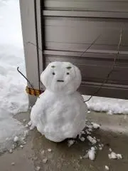 ぐりちゃの画像