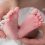 はっさくの画像