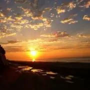 ポーの画像