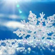 白雪の画像