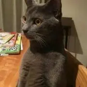 いくしー
