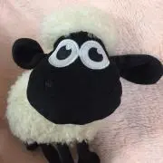nicoの画像