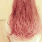 トトロ