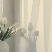 ❤︎の画像