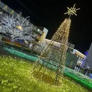 花てん