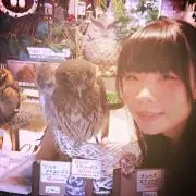 ぶーすかの画像