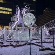 ♡T.N♡の画像