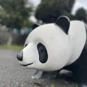 DRTNAN