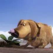 えーこの画像