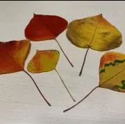 おんぷっ子の画像