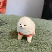 こんの画像