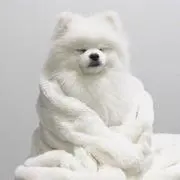 ゆゆ