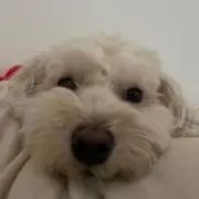 マル⓪⑩(断捨離中)の画像