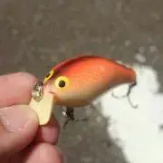 ユークの画像