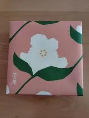 hanaの画像