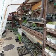 GREENガーデンの画像