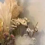 m_nnuの画像