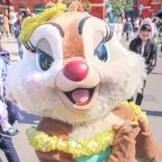 りこの画像
