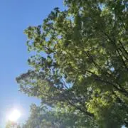 アッキーの画像